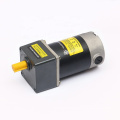 90V 25W Permanent Magnet DC Gear Motor